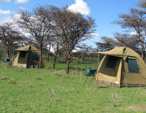 4 Days Tanzania Camping Safari