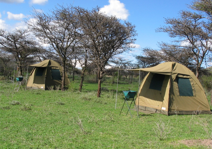 4 Days Tanzania Camping Safari