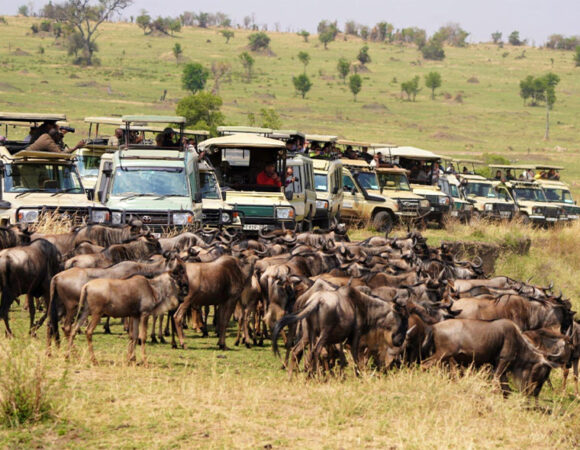 7 Days Tanzania Migration Safari