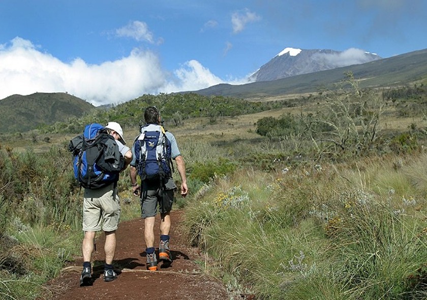 A003 - Kilimanjaro Day Hike to Mandara Hut