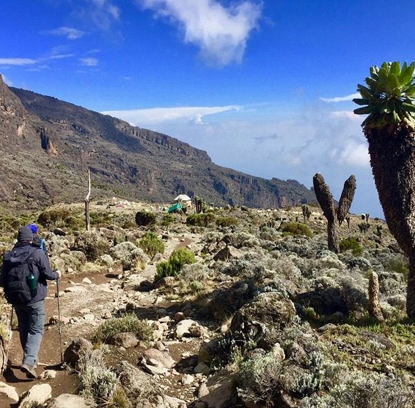 Kilimanjaro Day Hike to Shira Plateau