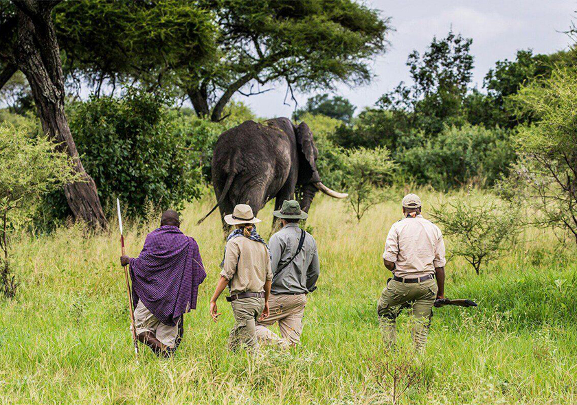 5 Days Tanzania Unforgettable Safari