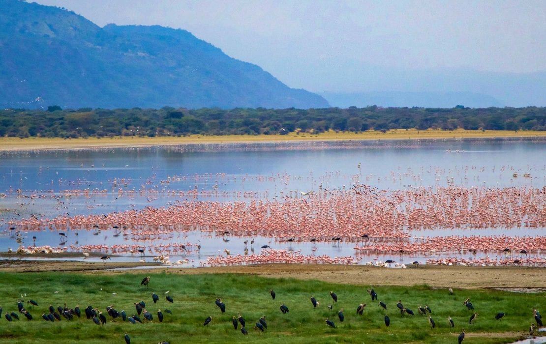Lake Manyara NP