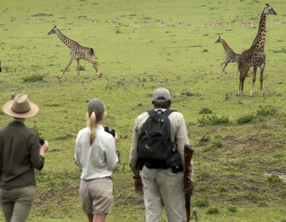 What to Expect on a Tanzania Walking Safari?