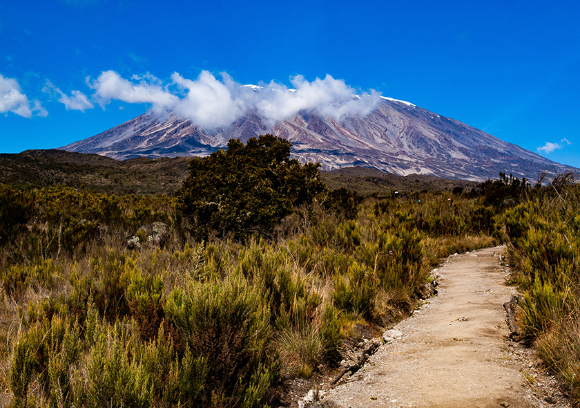 2-Day Kilimanjaro Hike via Marangu Route