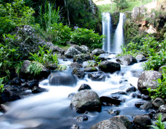 A008 – Marangu Visit, Coffee Tours, Waterfall Hike and Chagga Cave
